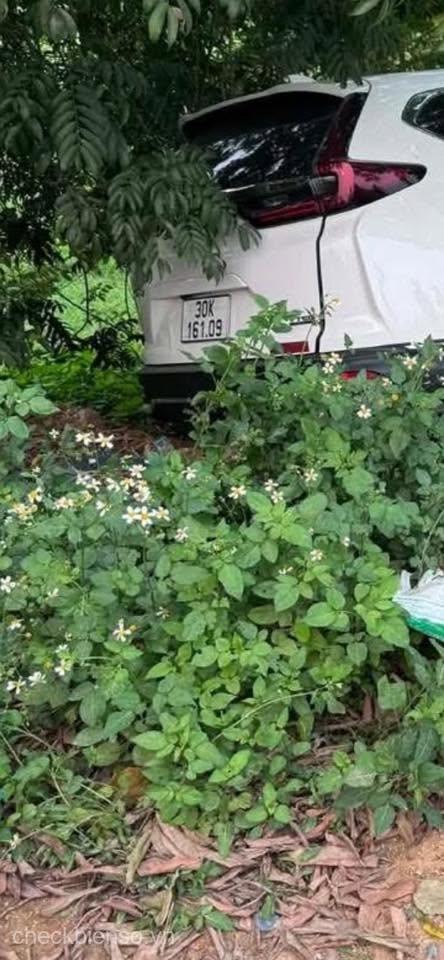 Xe biển số 30K16109